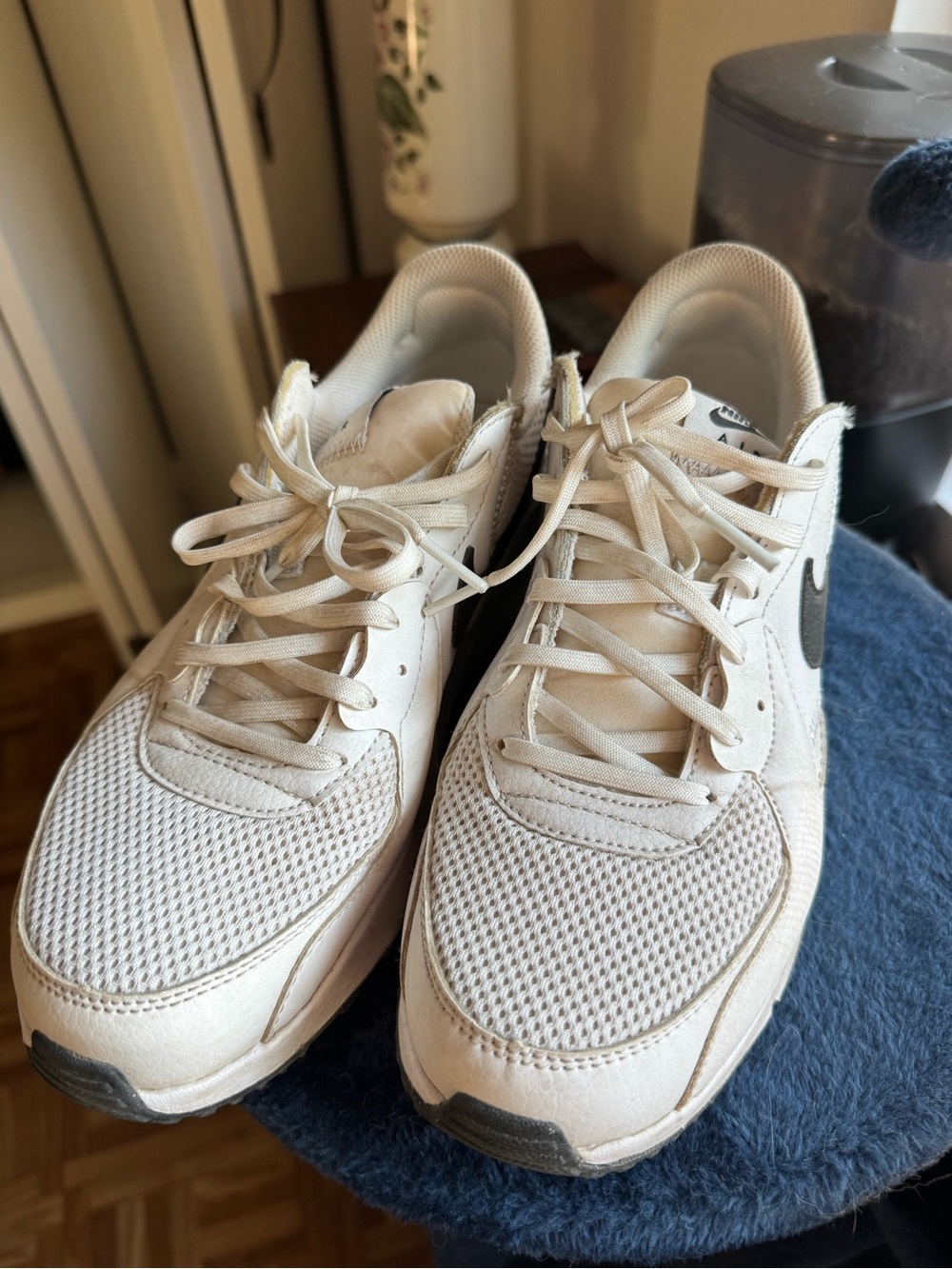 Nike Women's Airmax Sneakers